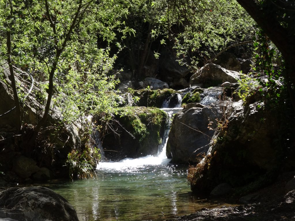 Akchour waterfall hike