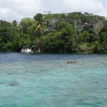Nature Bacalar