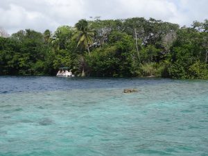 Nature Bacalar