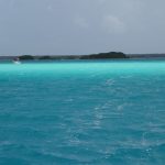 Bacalar