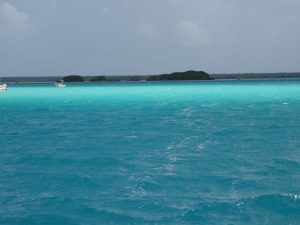 Bacalar