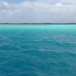 Bleu Bacalar