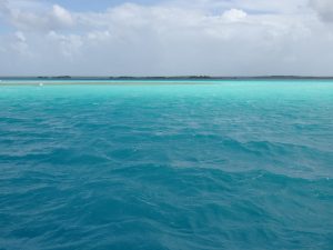 Bleu Bacalar