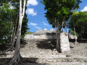 arbres Calakmul