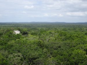 Mer verte Calakmul