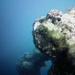 Stromatolites