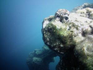 Stromatolites