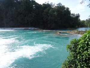 agua azul turquoise