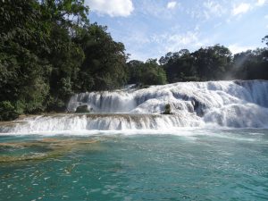 agua azul cascade