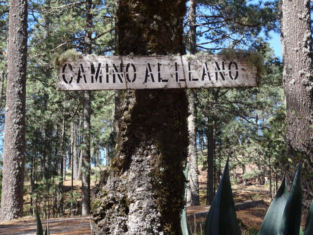 chemin cuajimoloyas latuvi