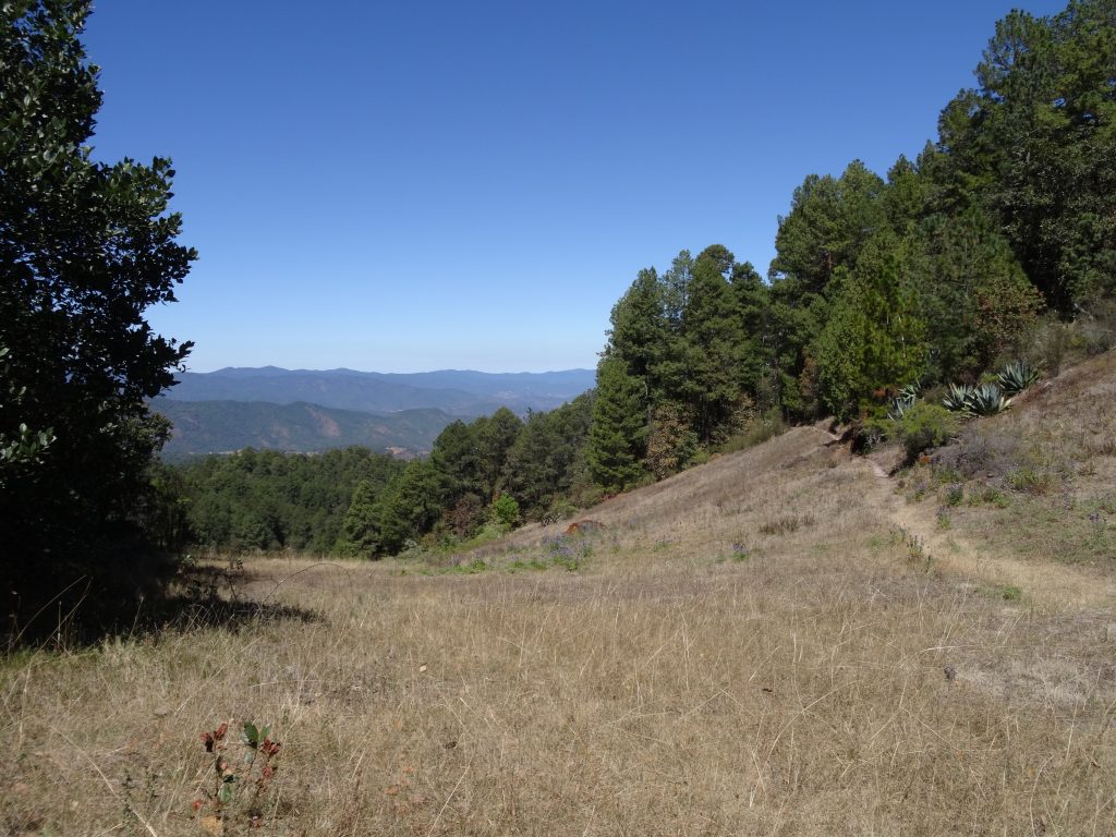 Sentier Cuajimoloyas Latuvi
