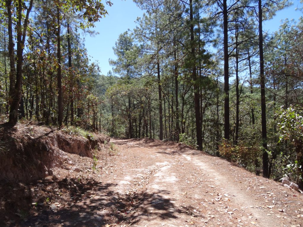 chemin à latuvi