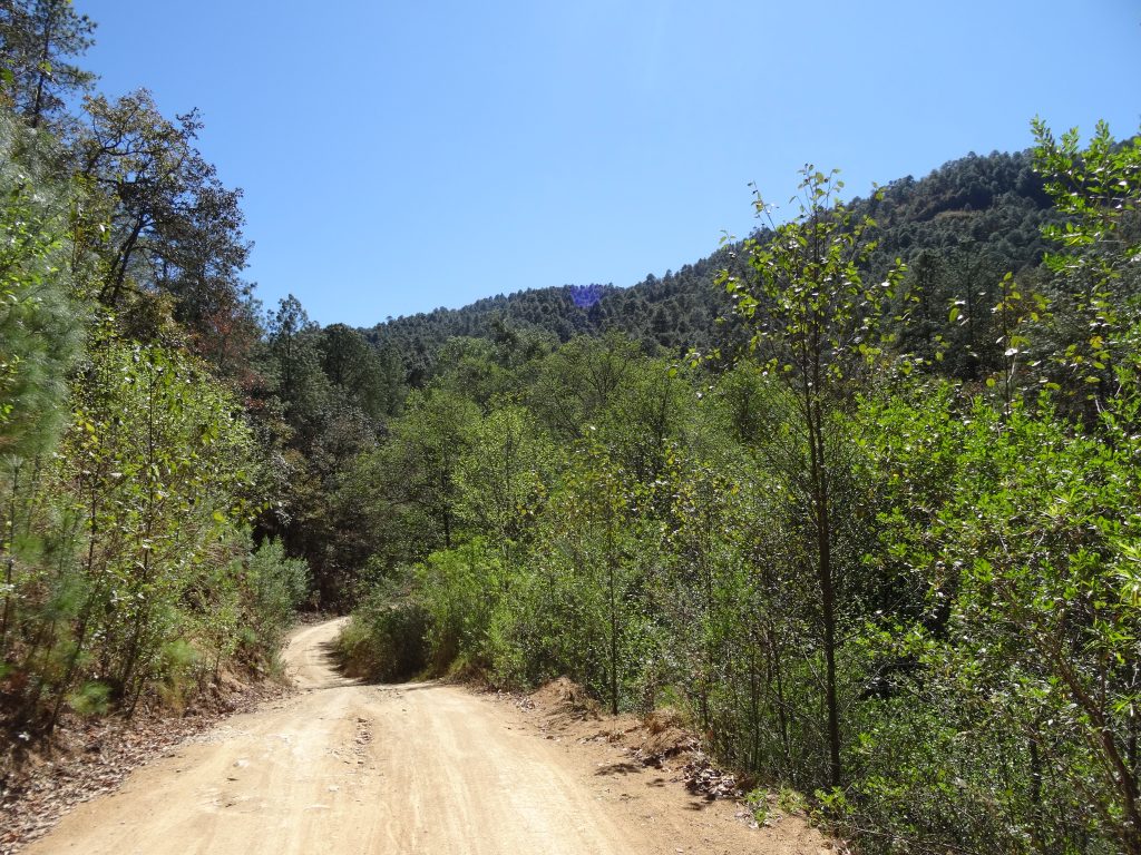 Chemin à Latuvi