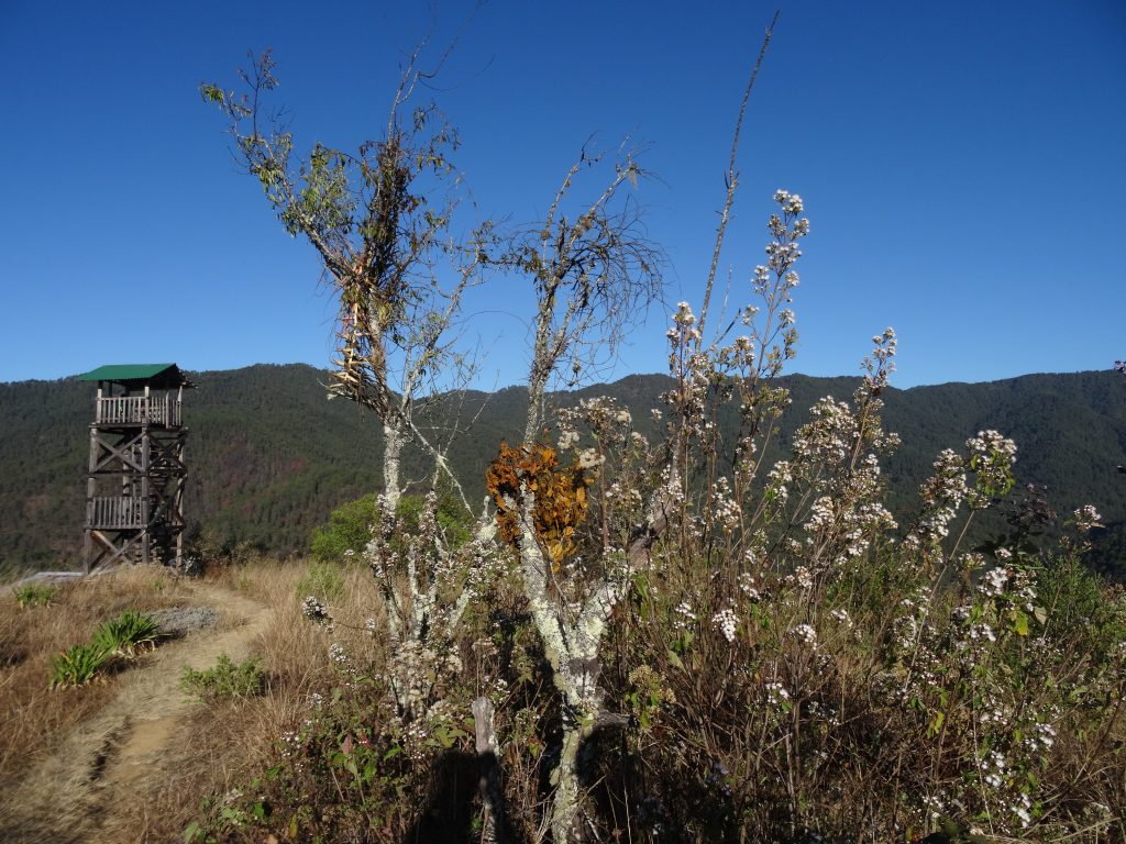 sentier randonnée latuvi