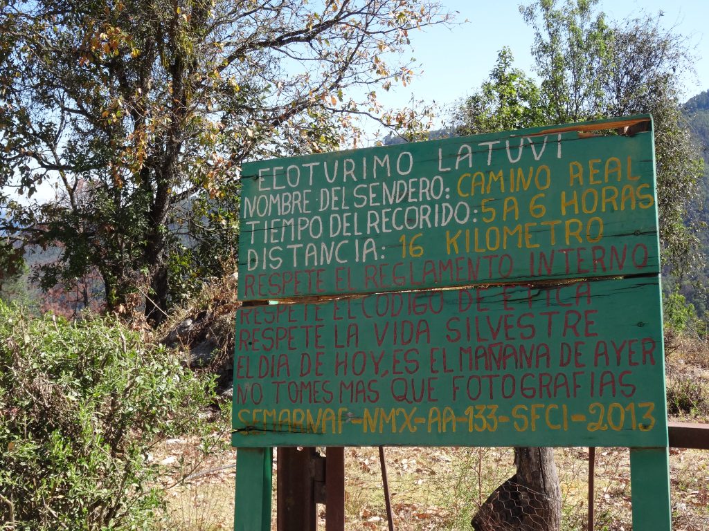 Panneau Camino Real