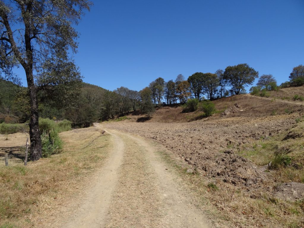 Chemin vers lachatao