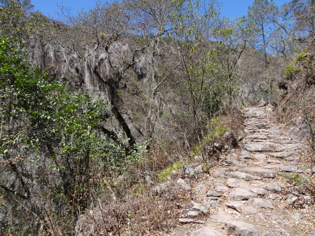 chemin forêt lachatao