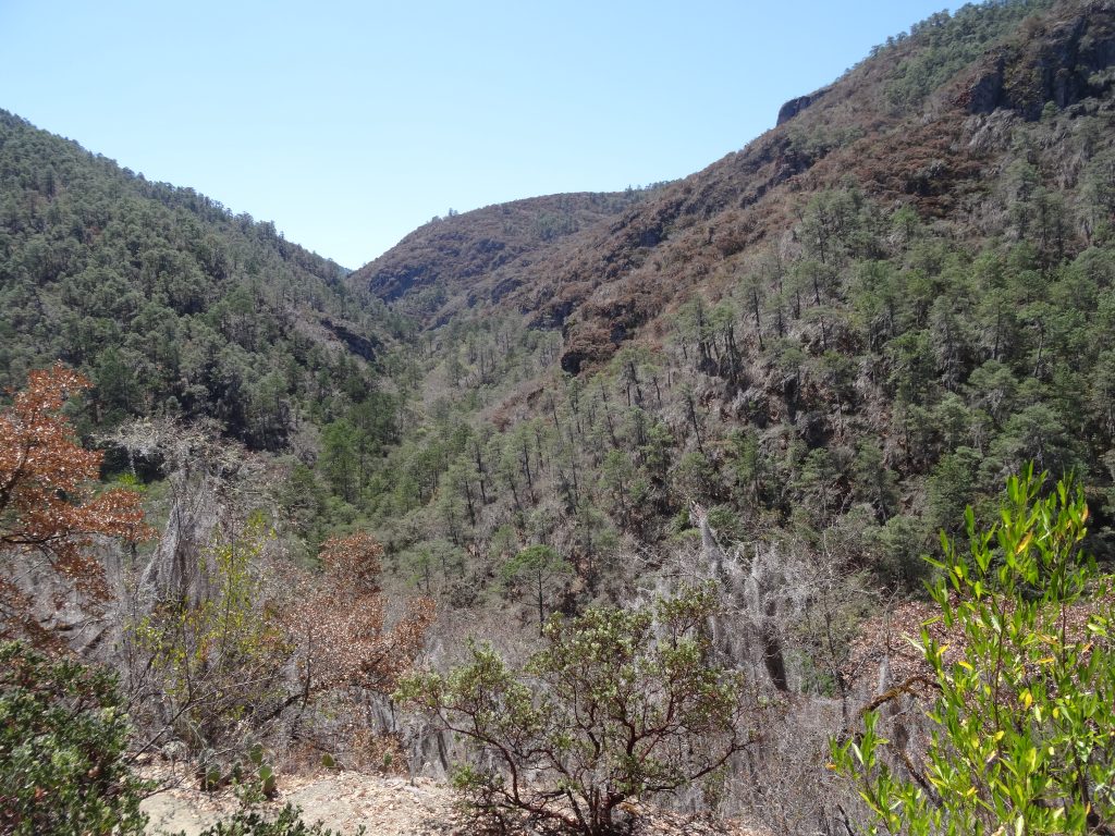 chemin montagne lachatao