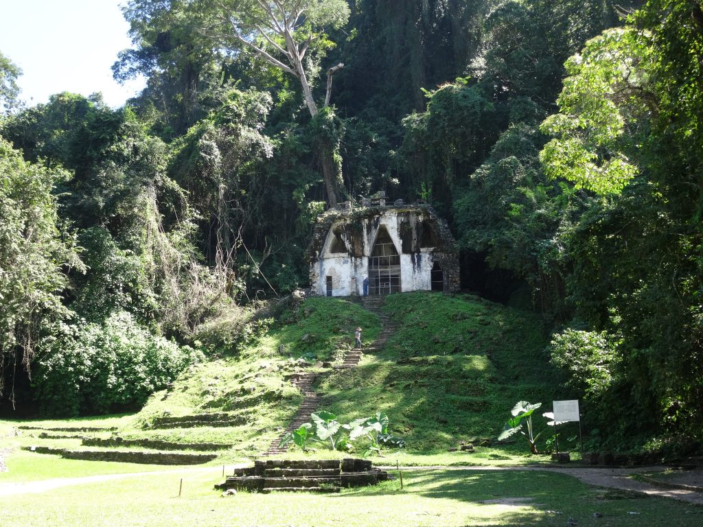 ruine jungle