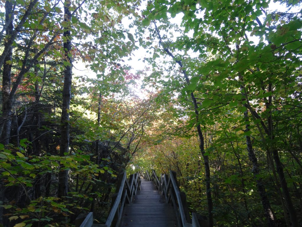 sentier tadoussac