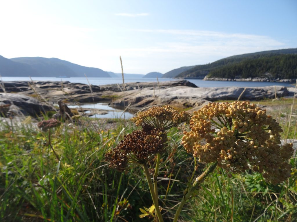 Sentier Pointe de l'Islet