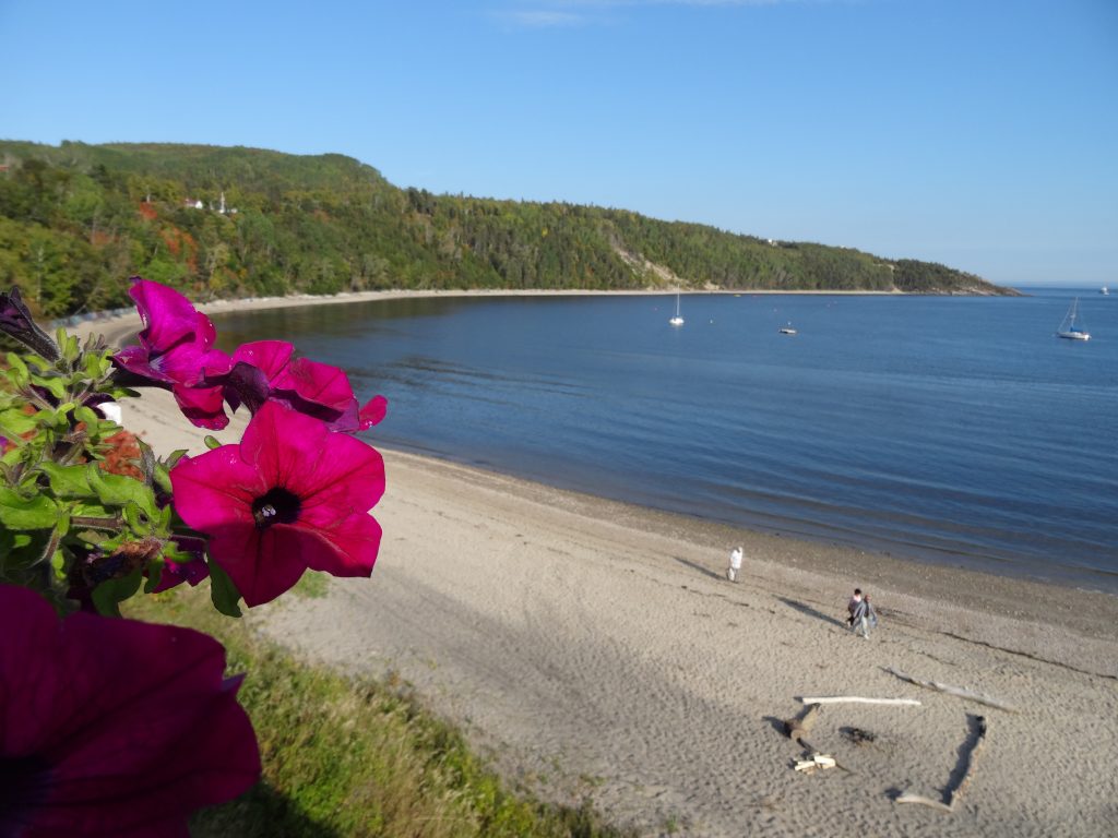 plage et fleurs tadoussac
