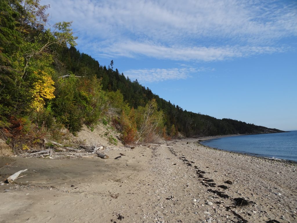 plage tadoussac
