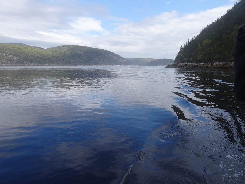 fjord du saguenay
