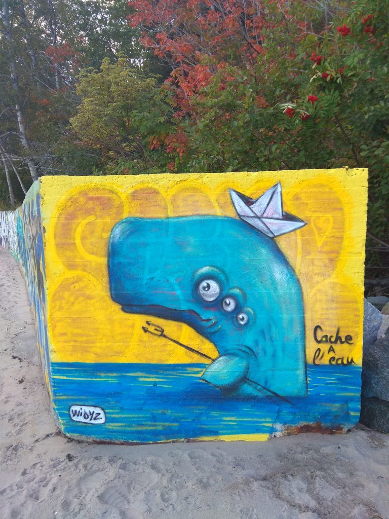 baleine dessin tadoussac