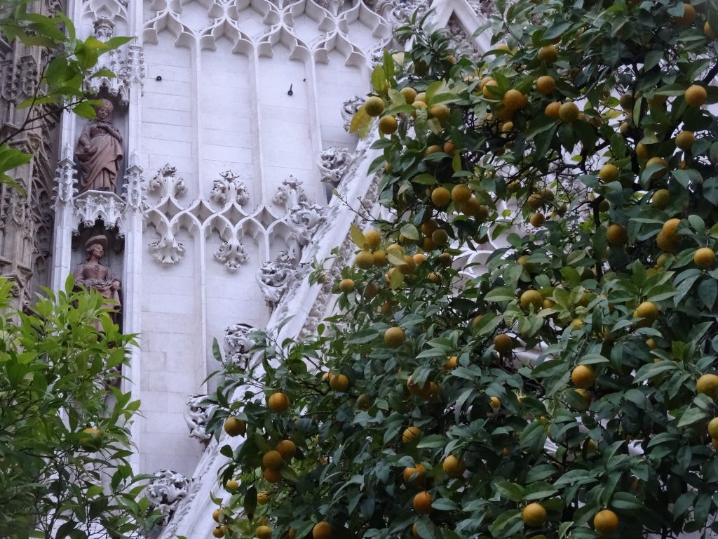 cathédrale