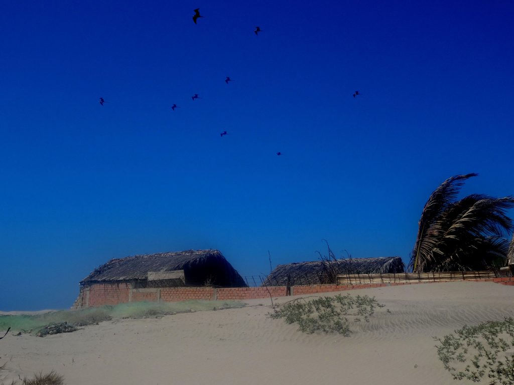 Mancora